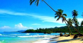 best travel tips palm trees and beach